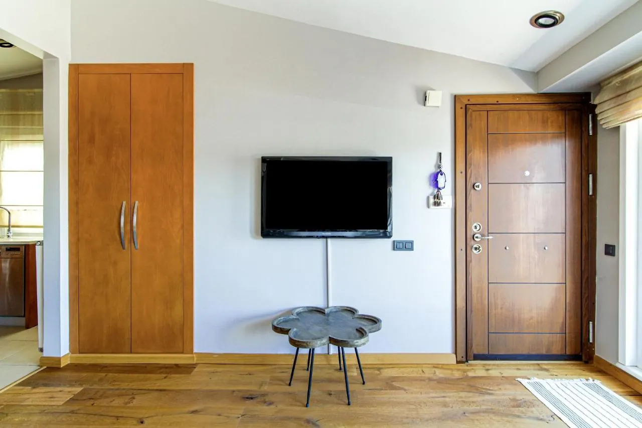 Bosphorus View Flat With Terrace In Arnavutkoy Apartment Istanbul 0*,  Turkey
