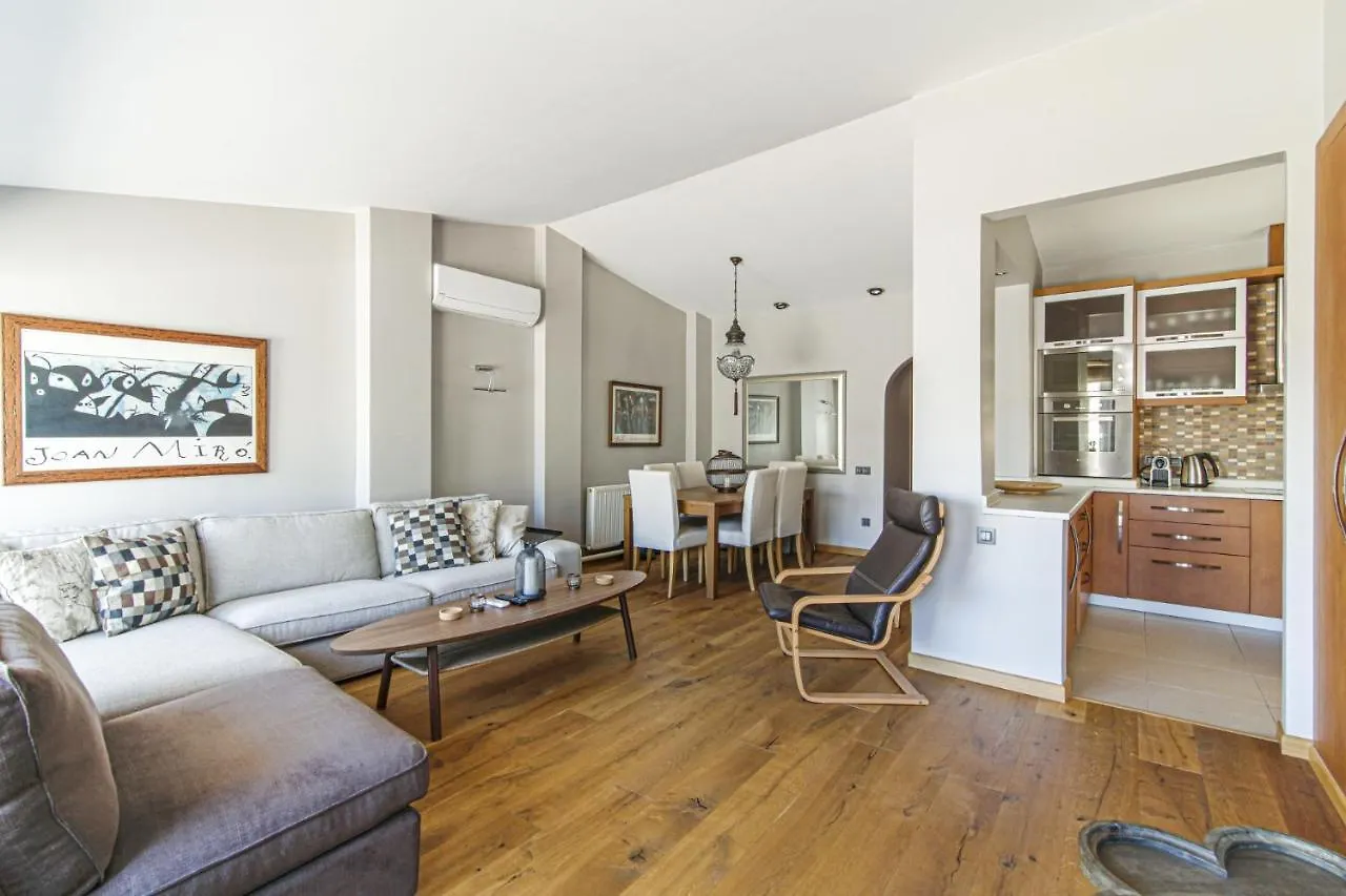 Bosphorus View Flat With Terrace In Arnavutkoy Apartment Istanbul